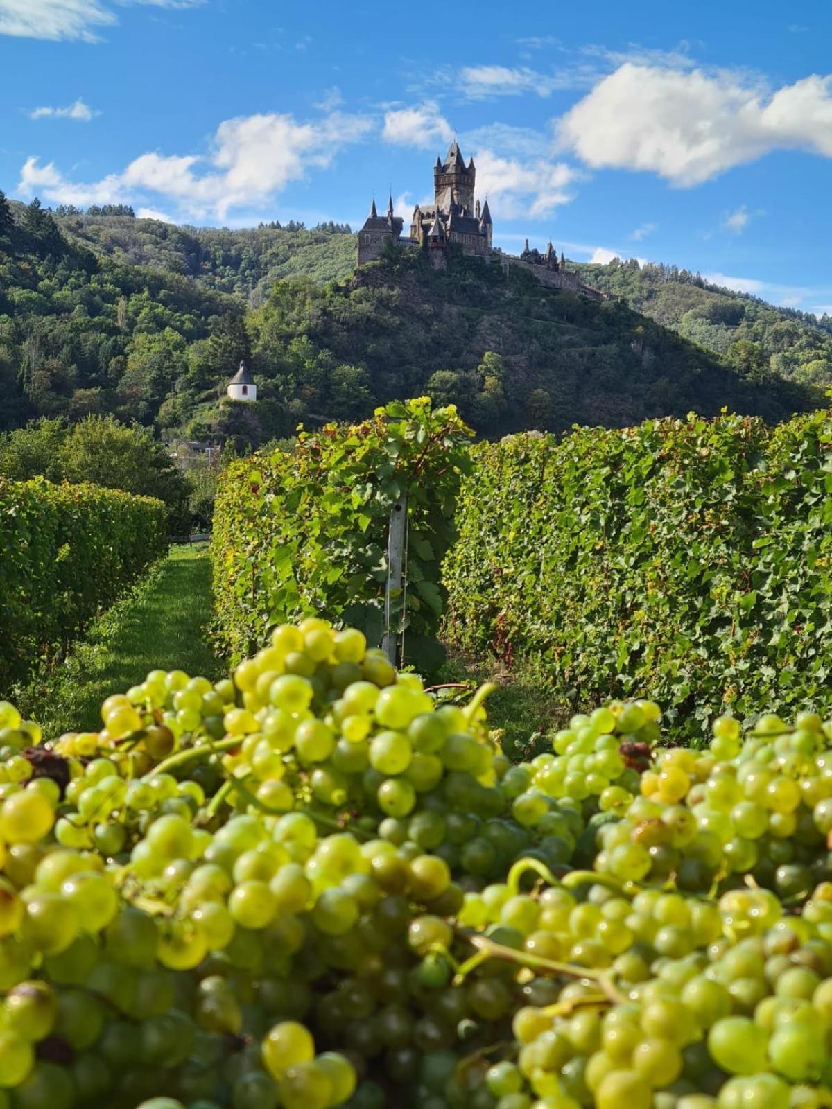 Weingut Gaestehaus Bach Apartment Cochem Exterior photo